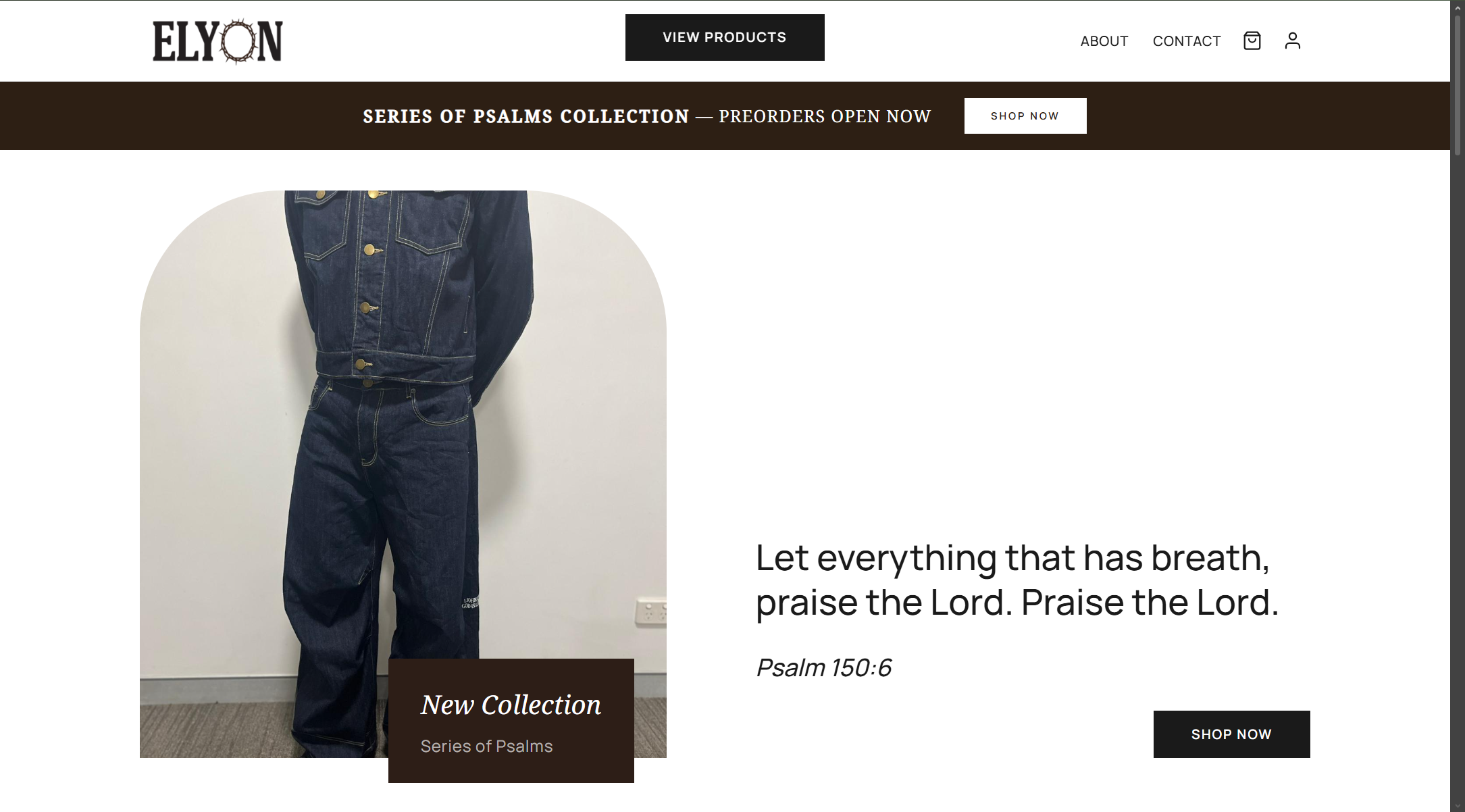 Elyon.World website screenshot